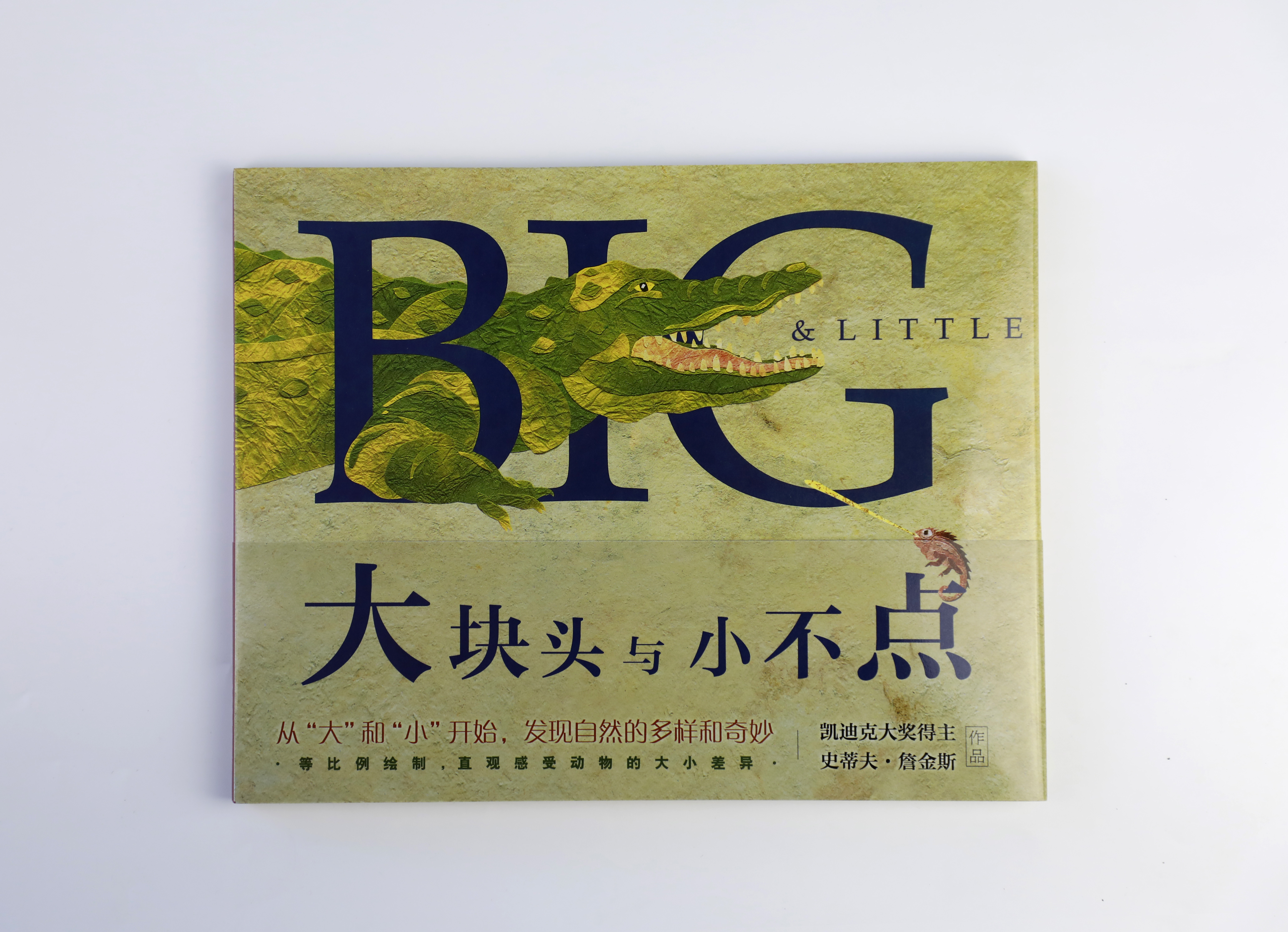 大块头与小不点