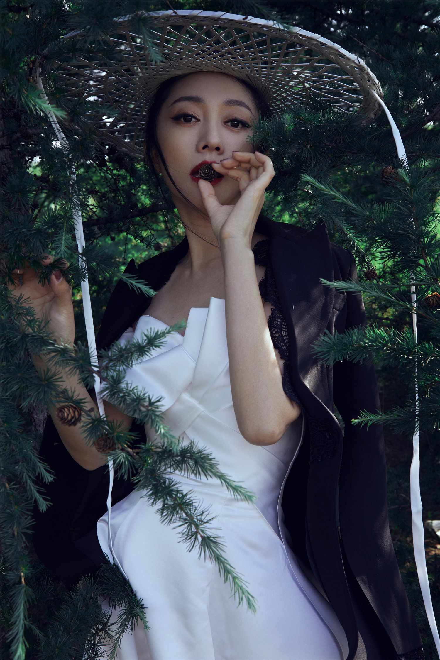 原子飞 全网资源