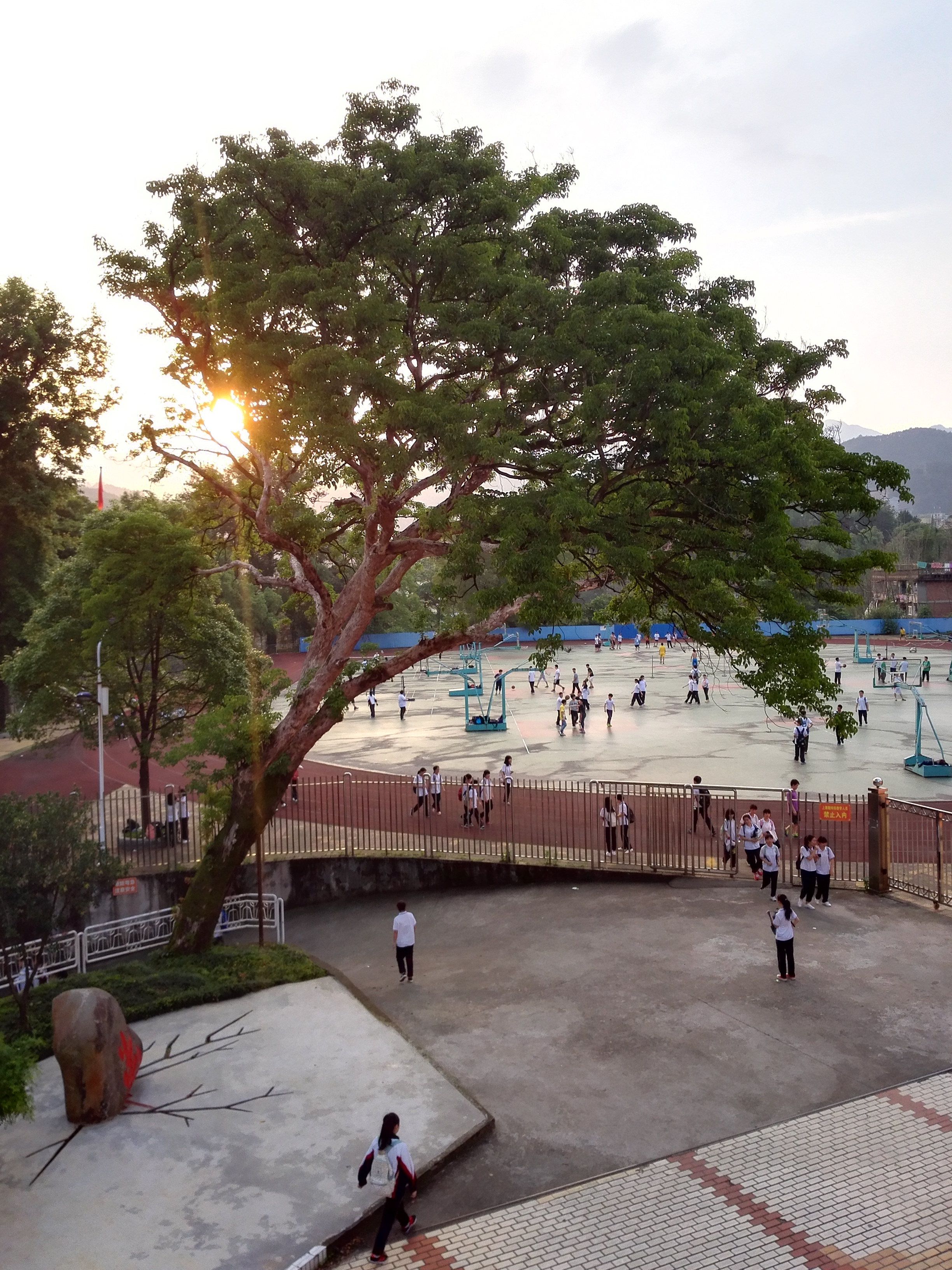 南平市高级中学