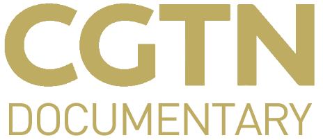  p data-id="gnbpogpdvw">中国国际电视台纪录频道(频道呼号:cgtn