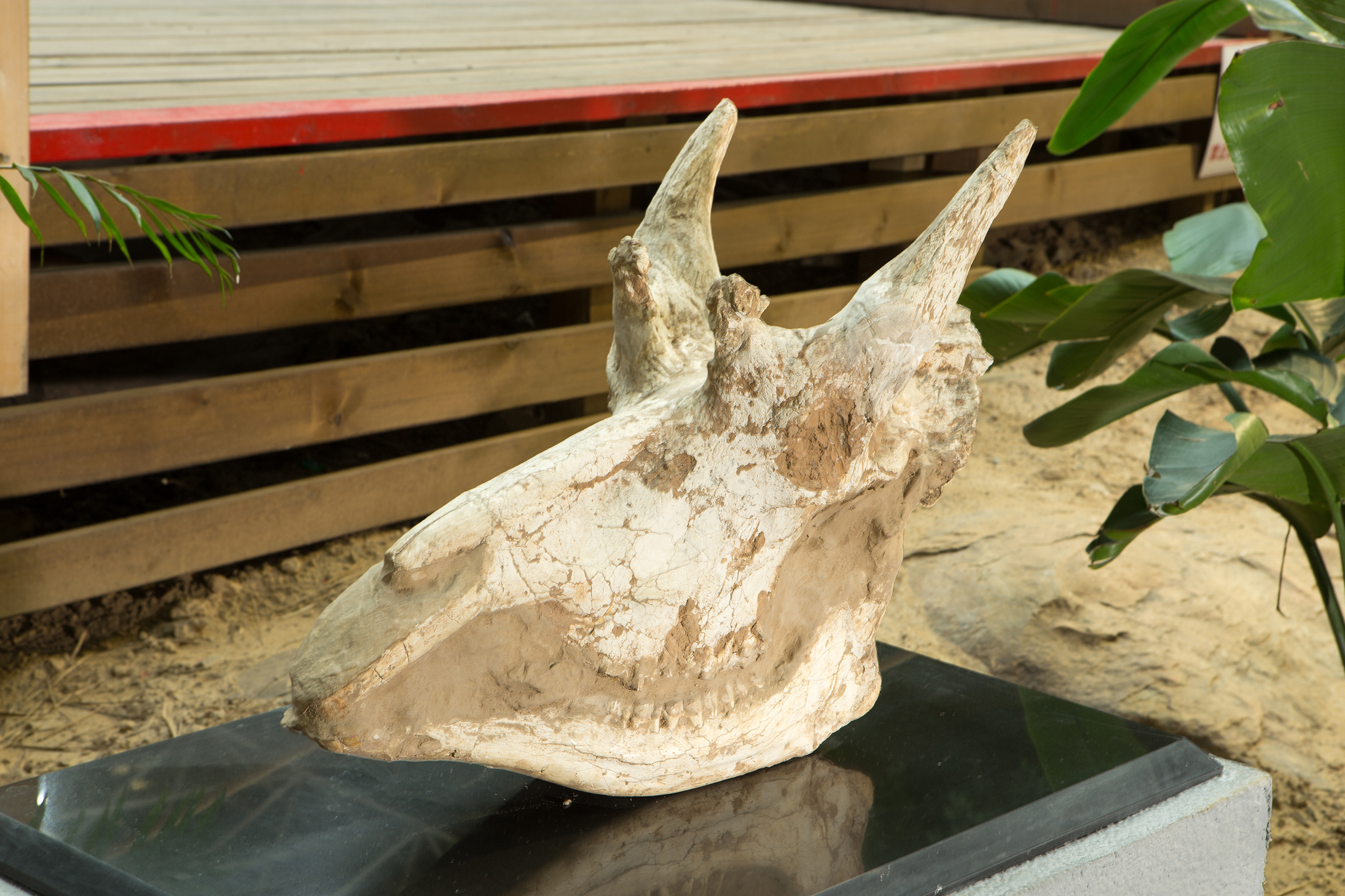 中国第四世纪冰川遗迹陈列馆