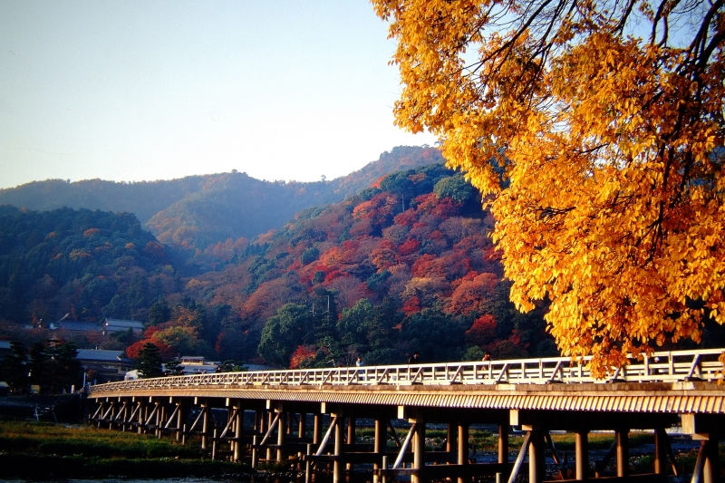 日本岚山 全网资源