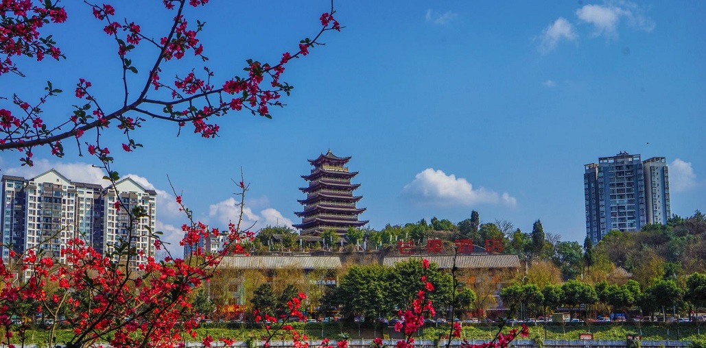  p>荣昌区隶属 a target="_blank" href="/item/重庆/23586" data