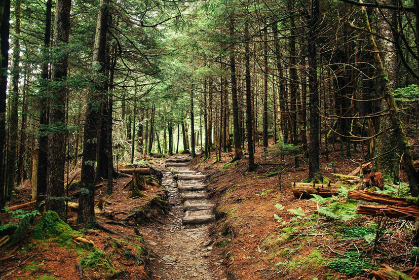 appalachian national scenic trail