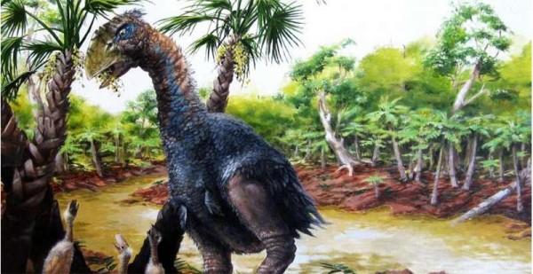  p>冠恐鸟的 a href="#" data-lemmaid="9049762">化石 /a>在德国的盖