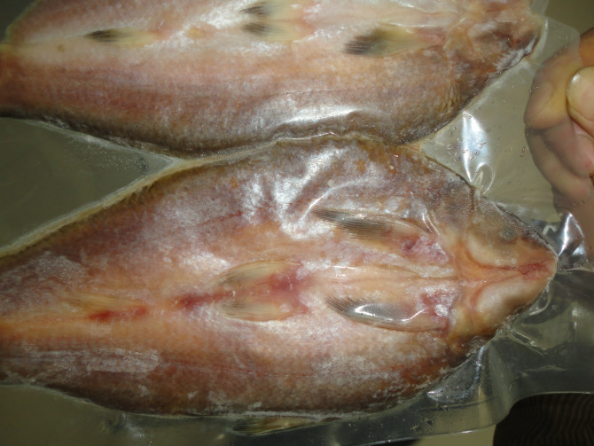  p>长吻红舌鳎(学名:cynoglossus lighti)为舌鳎科舌鳎属的鱼类,俗名