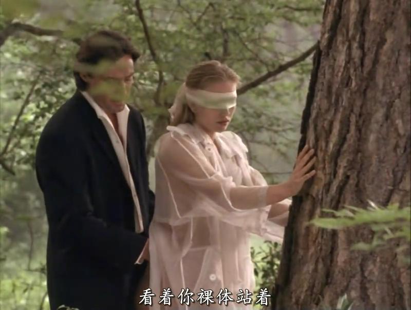  p>《红鞋日记》系列是美国著名导演扎尔曼·金拍摄的情色电影.