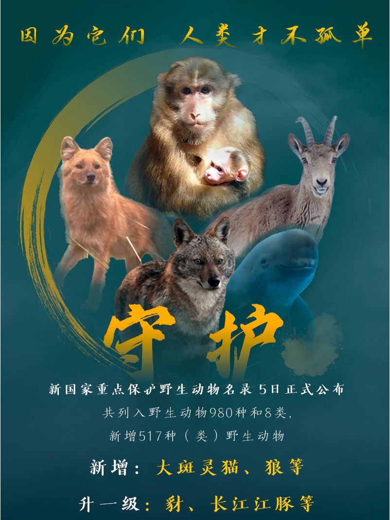 国家重点保护野生动物名录