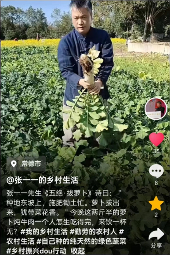 张一一（中国作家、导演、文旅专家、评论家）_百度百科