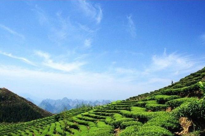 茶山旅游区
