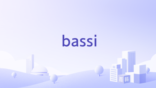bassi（家居品牌）_百度百科
