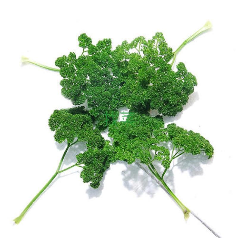  p data-id="gnwfdppmwx">法香,欧芹的别称,为