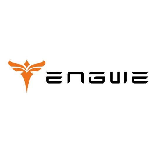 ENGWE_百度百科