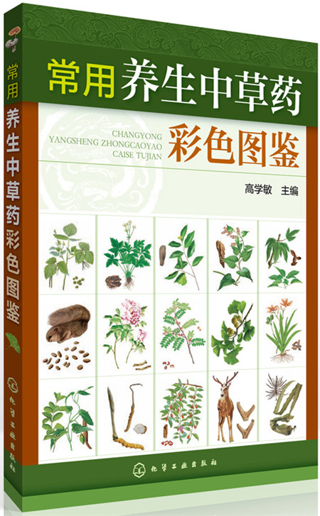 常用养生中草药彩色图鉴