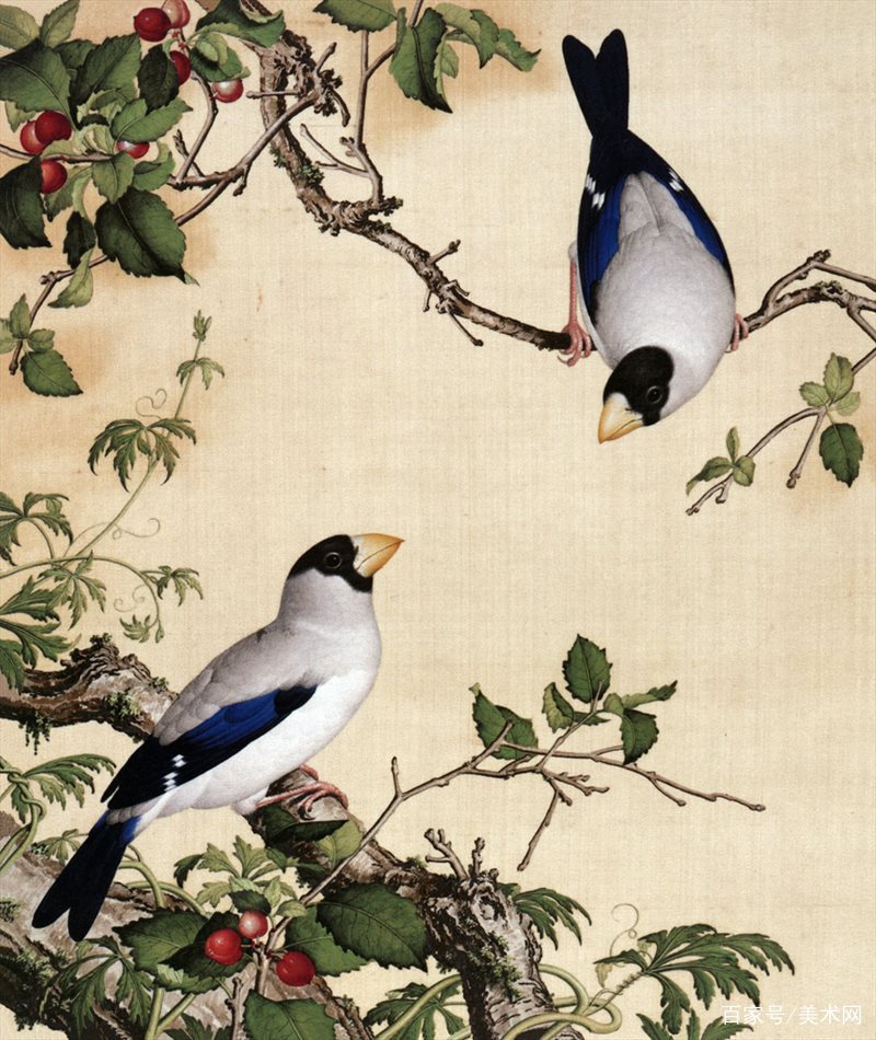 郎世寧 花鳥圖 意大利画家郎世宁的花鸟图册，看着真养眼_百科TA说