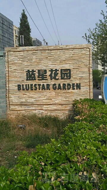 蓝星花园
