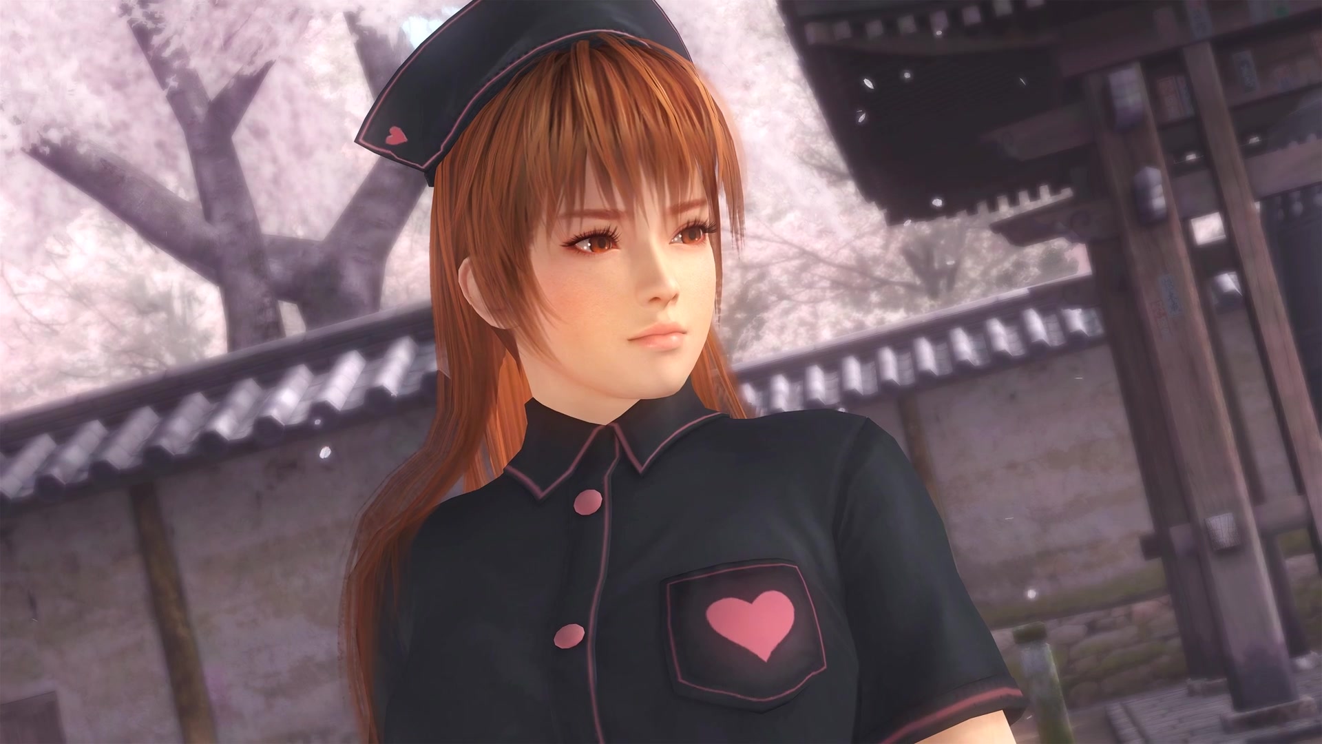 href="/item/死或生/5076" data-lemmaid="5076">死或生 /a>》中登场