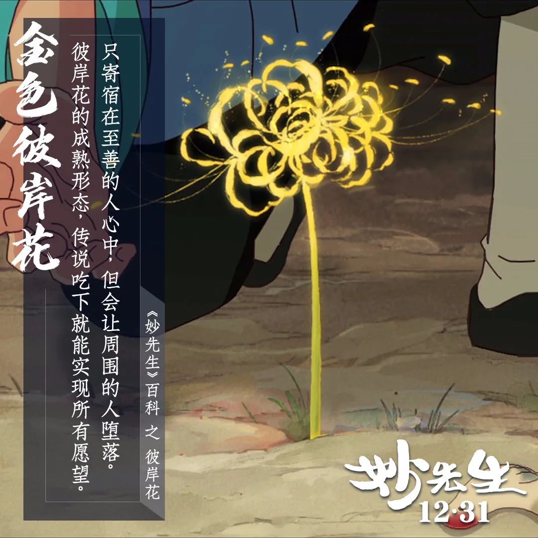 妙先生 为什么神不拯救世界 百科ta说