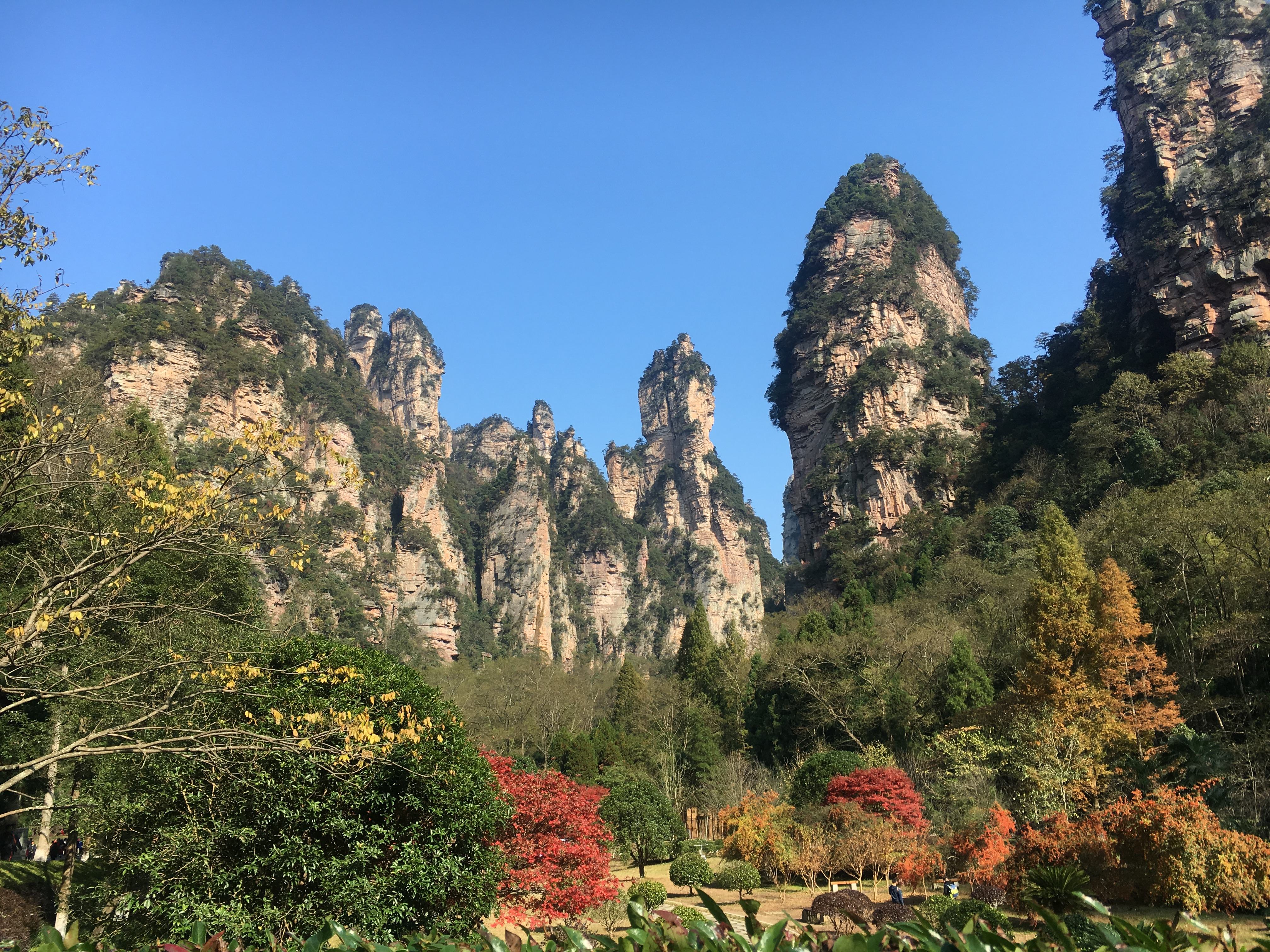 神农架国家森林公园