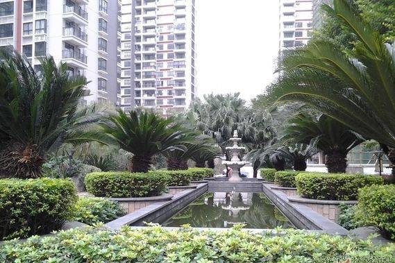  p>金水湾花园位于国际机场路及金水路交汇处,与桂海,桂梧高速公路