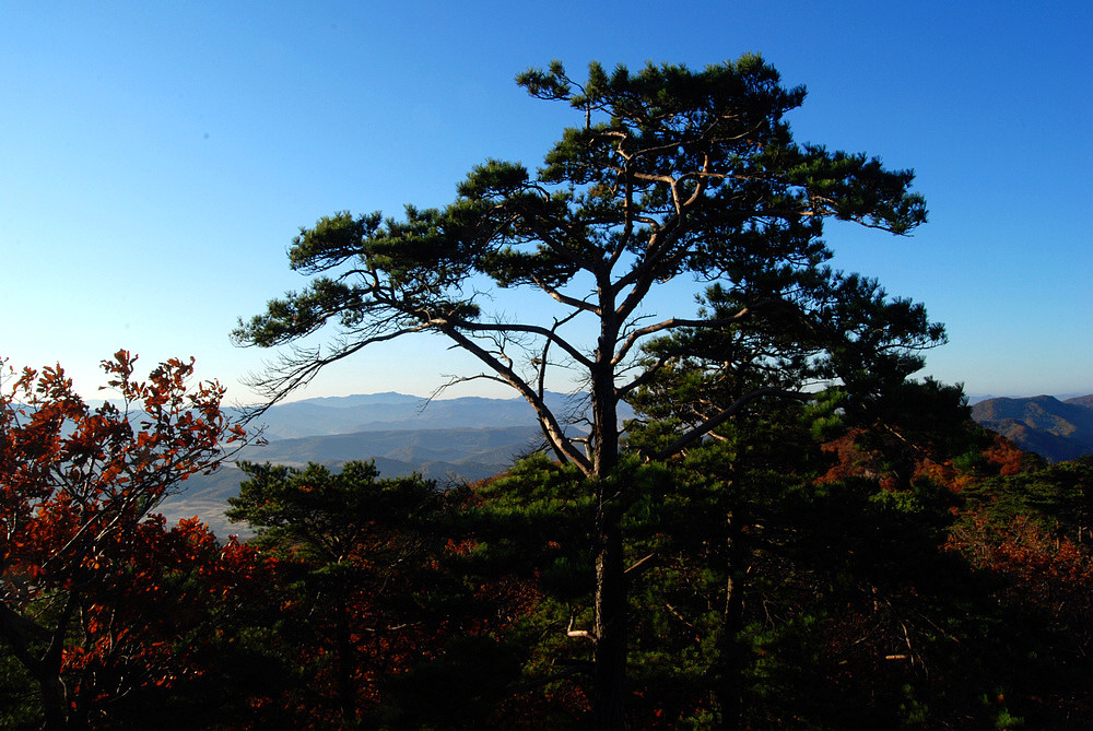 鸡冠山乡