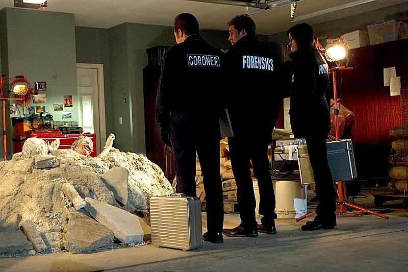  p>《犯罪现场调查第十四季》主要讲述了:"csi"全称"犯罪现场调查小组