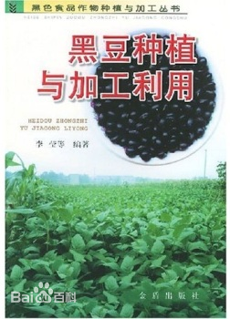 黑豆种植与加工利用