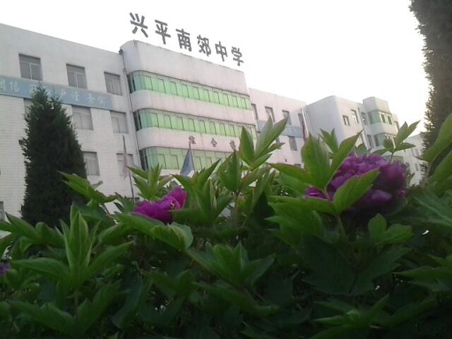 兴平市南郊高级中学