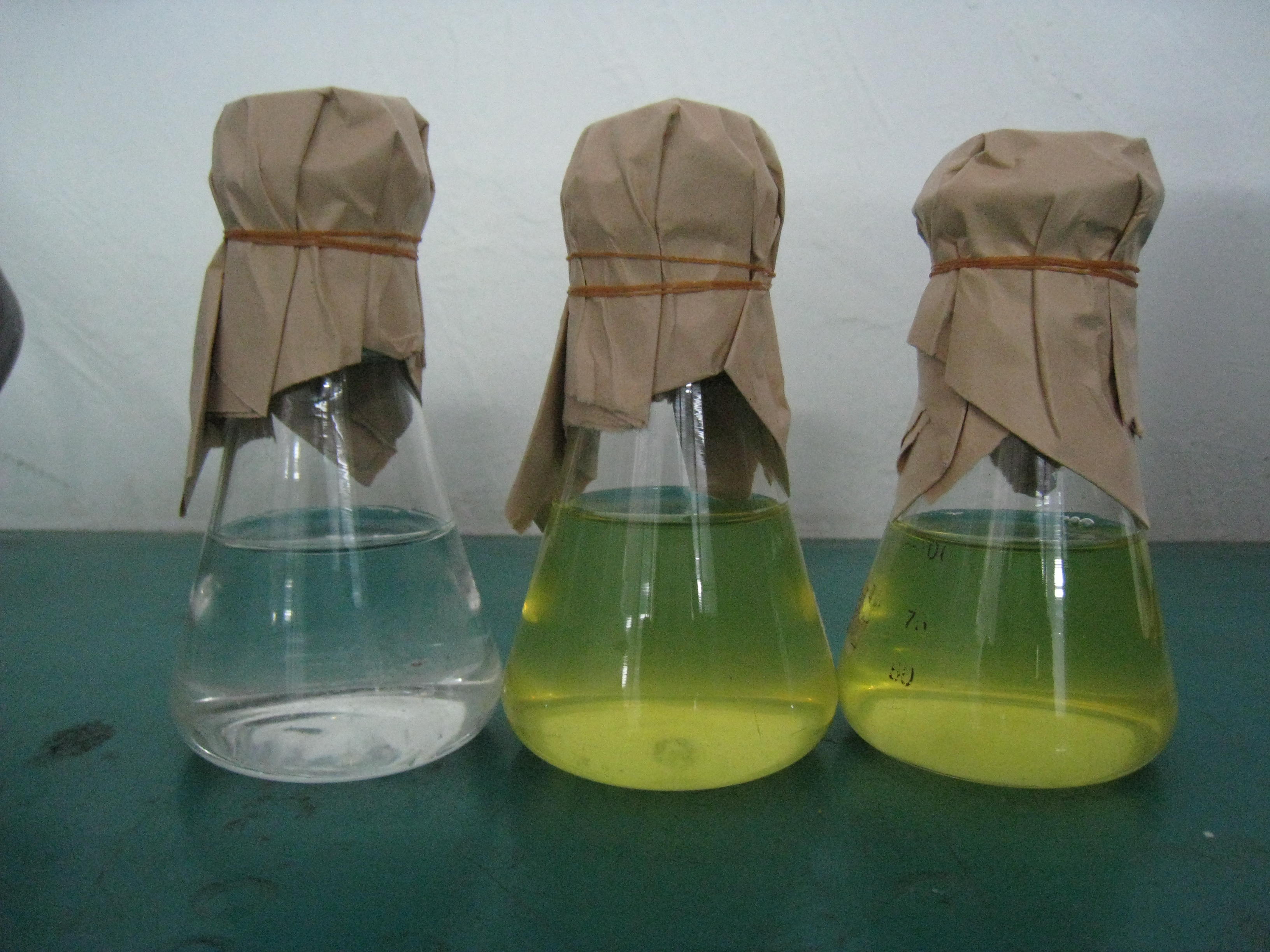 ">高氏 /a>一号 a target="_blank" href="/item/培养基/1317328"