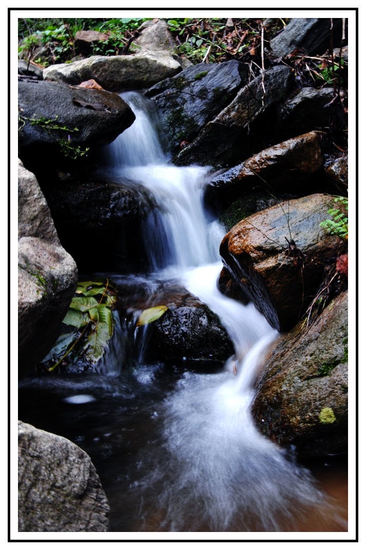 蝎子沟国家森林公园