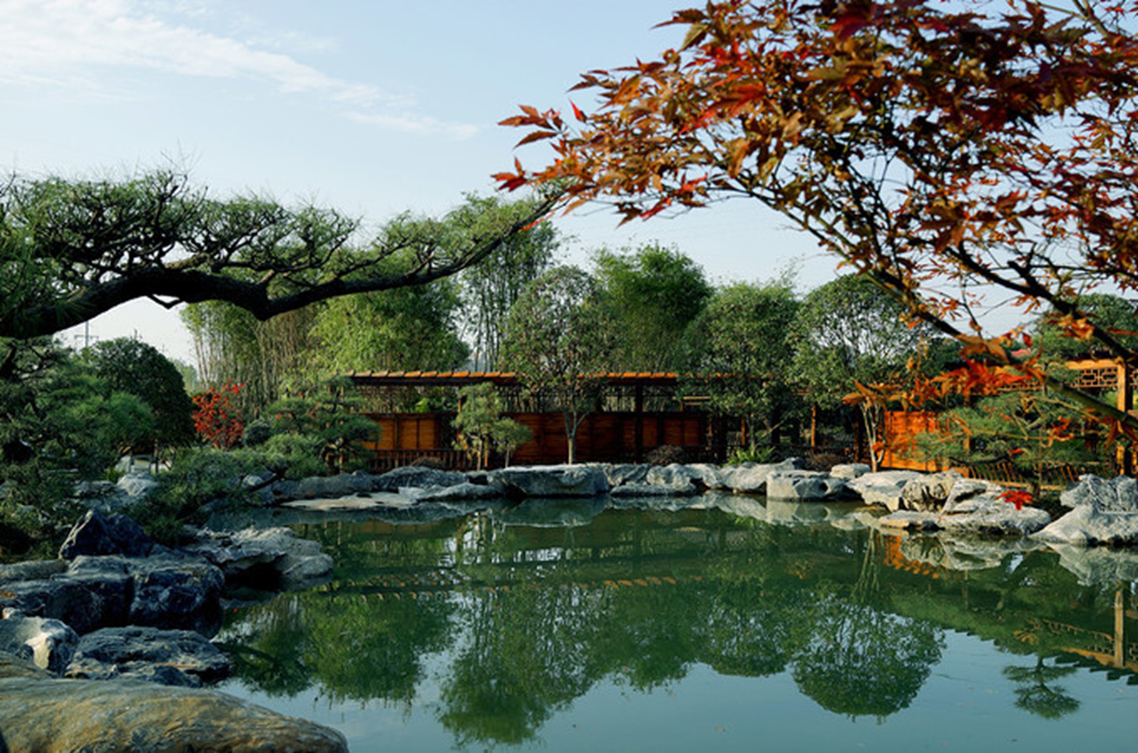 盘龙大观园 全网资源