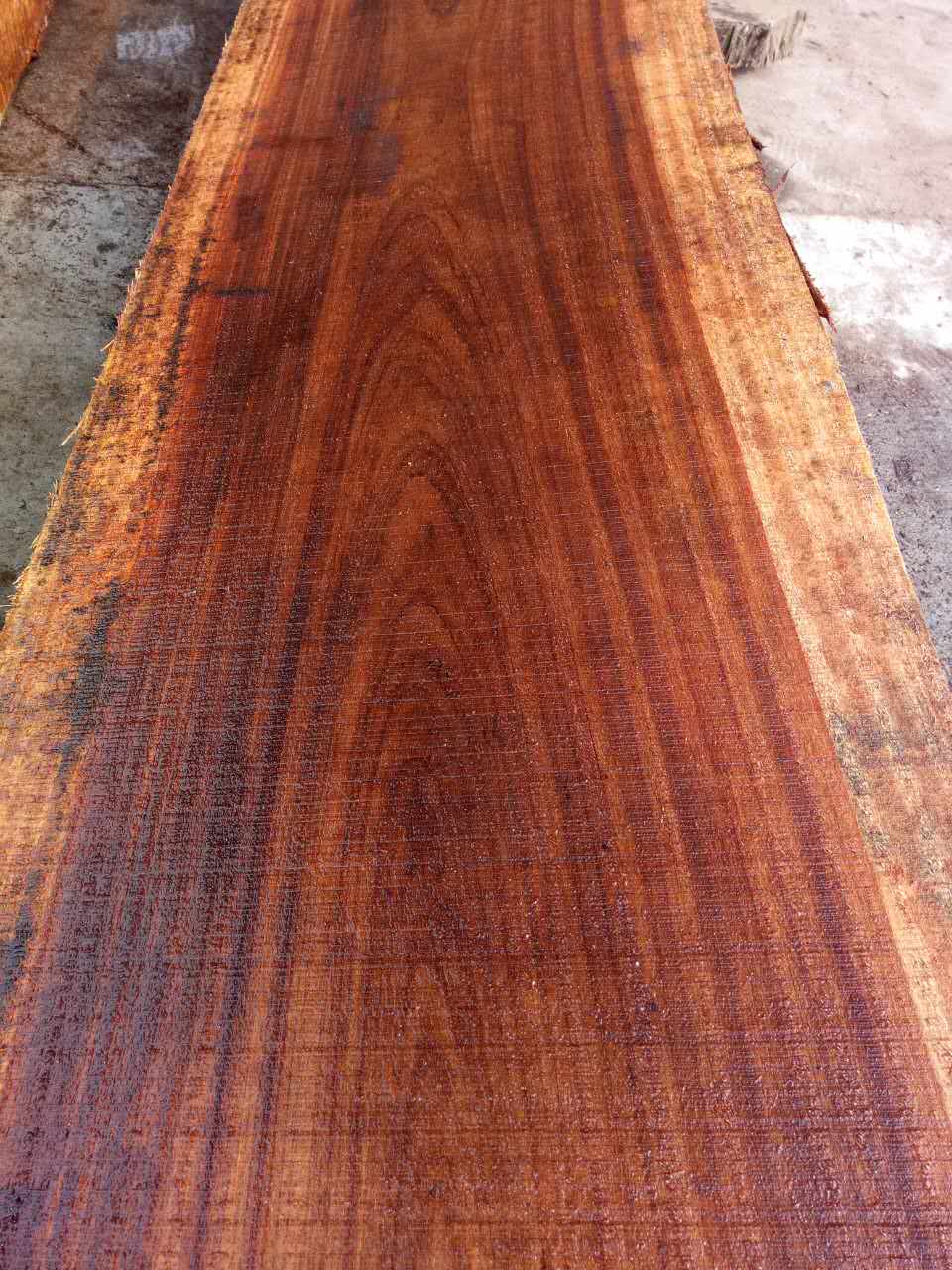  p>短盖豆又称金丝木,帝龙木,黄梨木,非洲黄檀,苏木科属, a href="#"