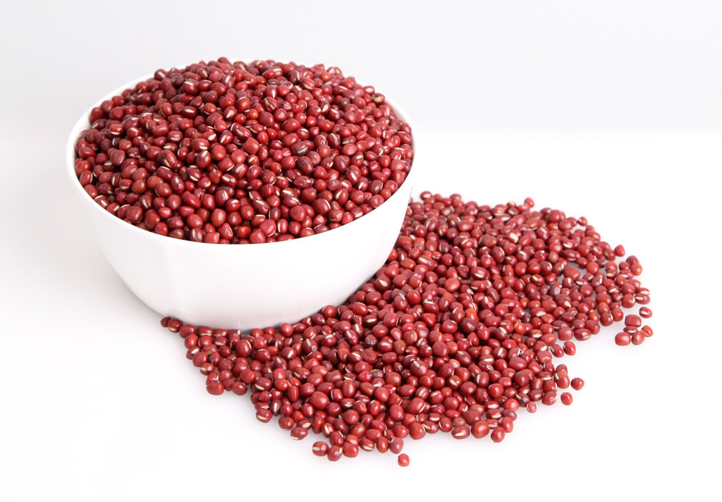 ormosia sericeolucida l. chen