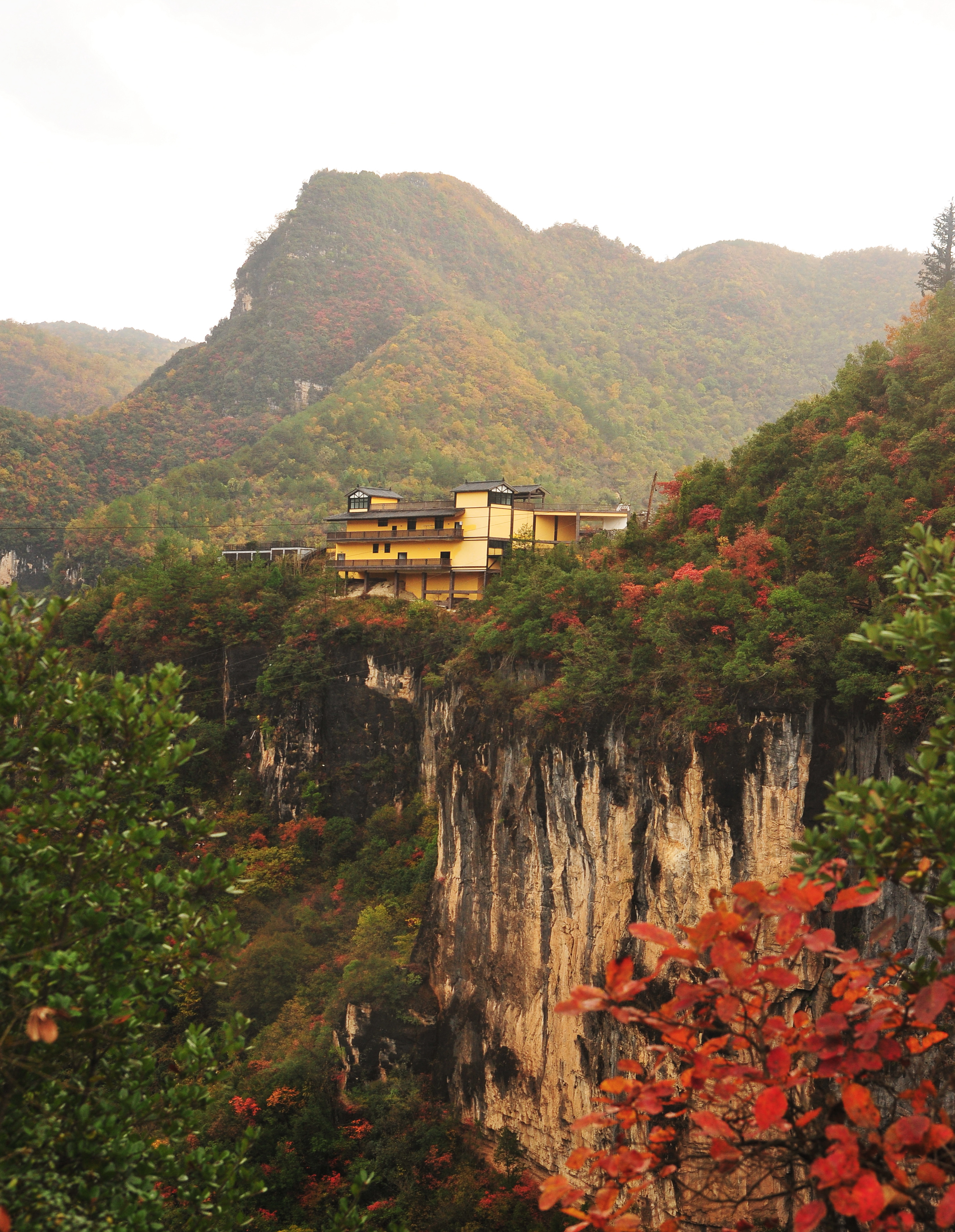  p>九路寨生态旅游区位于 a href="#" data-lemmaid="1400123">保康县