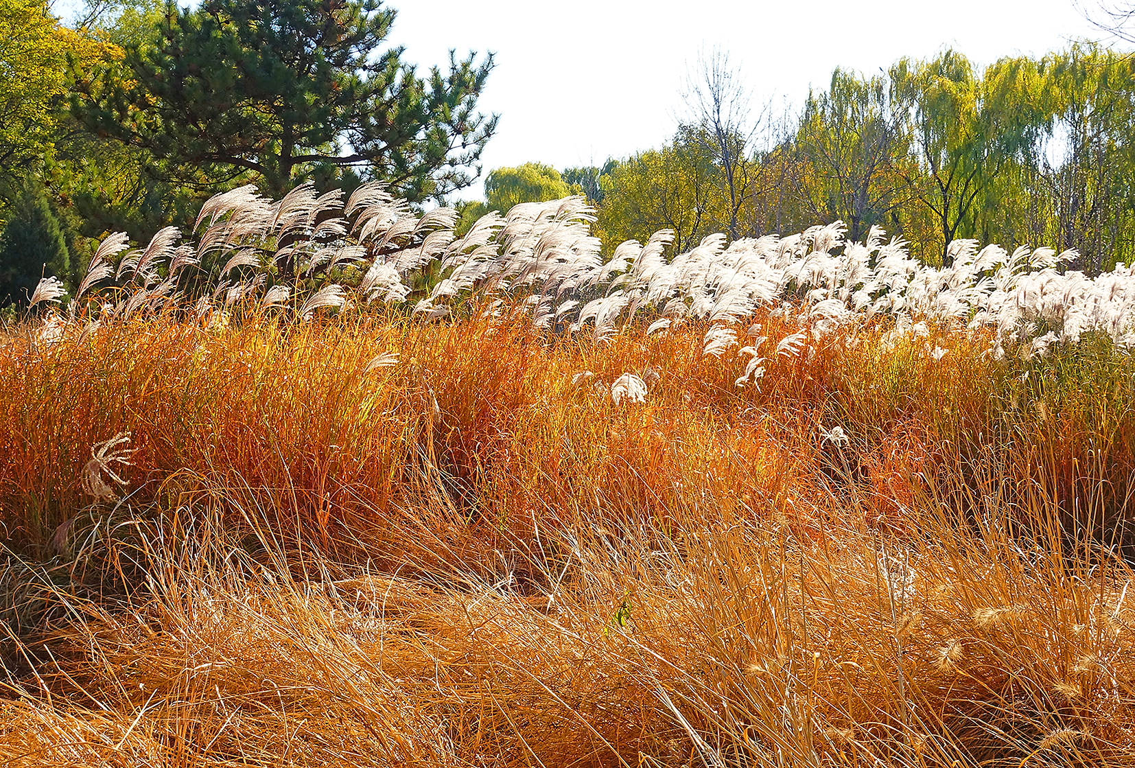  p>日月岛是大庆连环湖度假区西部一个面积约1平方公里的湖中小岛