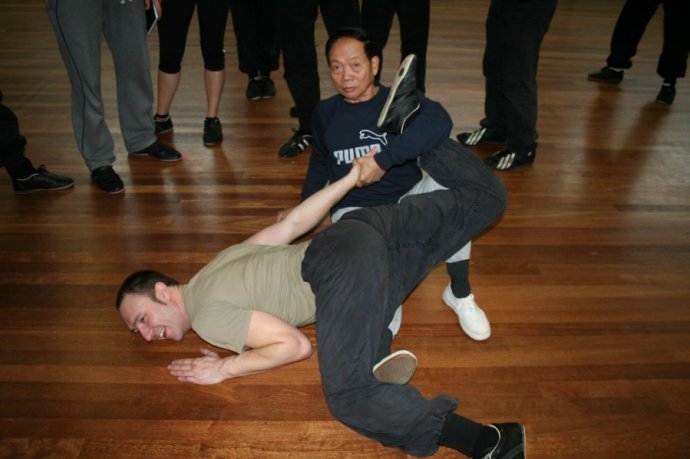 又称"地术犬法","地龙拳"或"地躺拳",民间俗称"狗拳",属于武林奇技