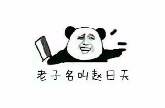 老子名叫赵日天