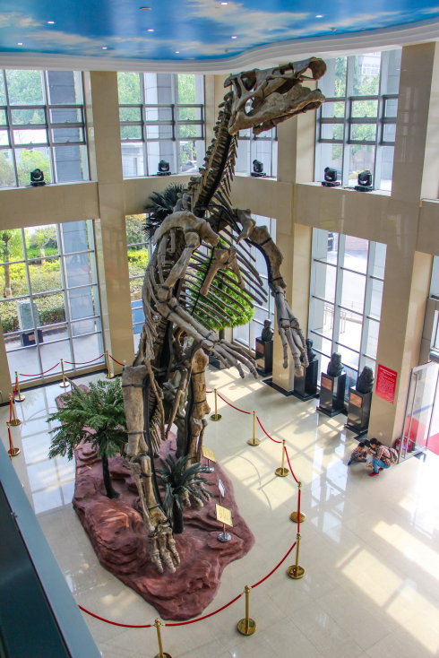  p>山东省地质博物馆(山东省地质陈列馆,shandong provincial museum