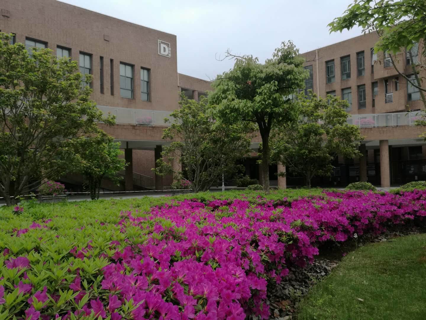 宁波市鄞州蓝青学校