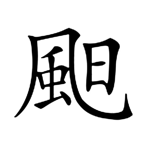 仓颉hna,郑码qik,四角76210,结构左下包围,统一码4afb,笔顺ノフノ