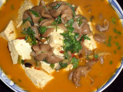 大场炖豆腐