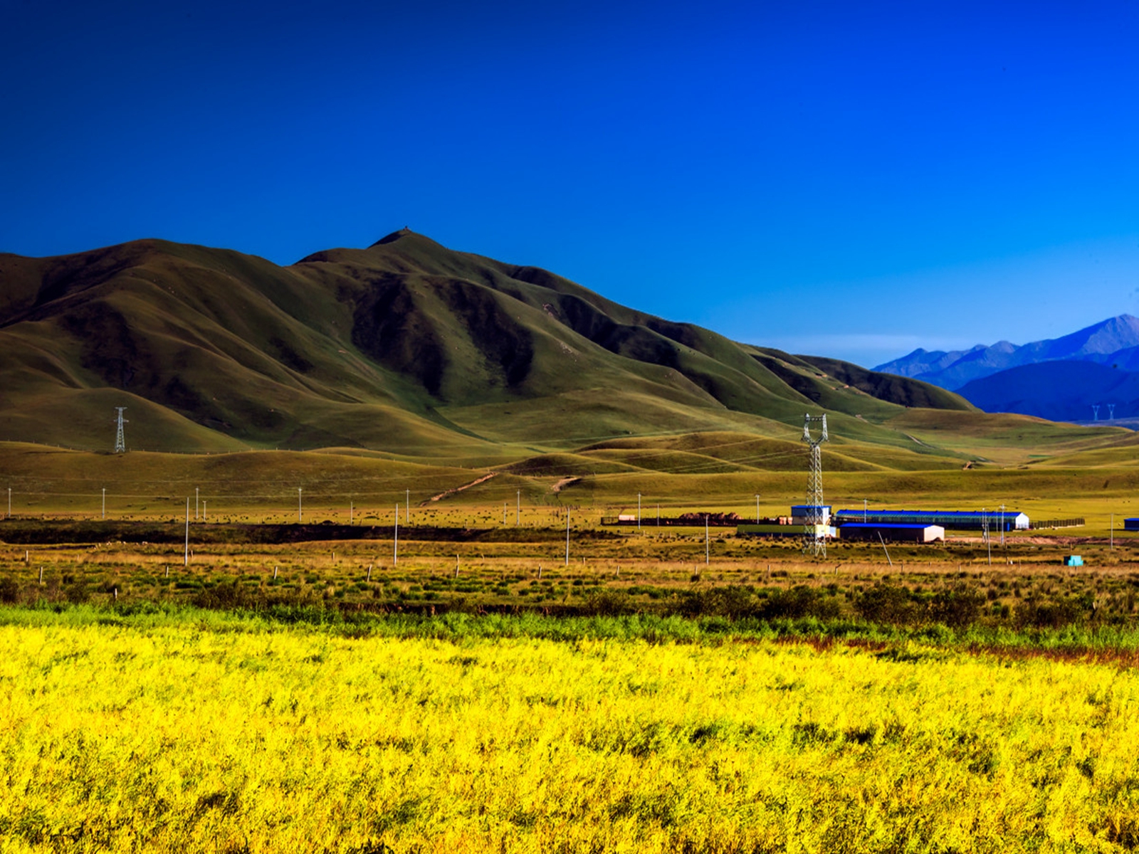  p data-id="gnx7s4idwx">金银滩草原,位于青海省  a target="_blank"