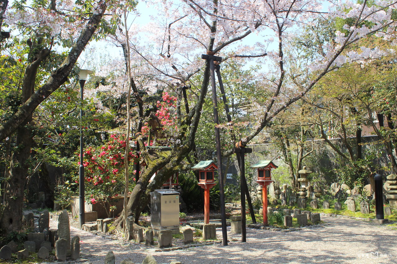  p data-id="gnwi1ut8xh">元兴寺,是日本 a target="_blank" href="