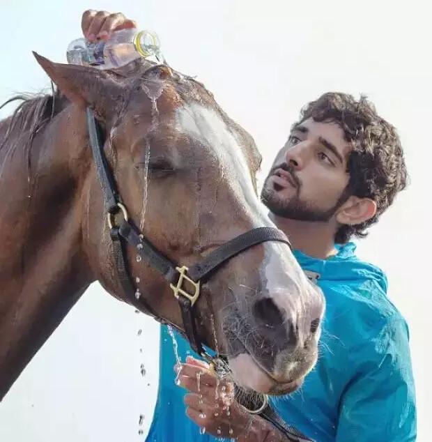 谢赫·哈曼丹·本·穆罕默德··本·拉希德·阿勒马克图姆