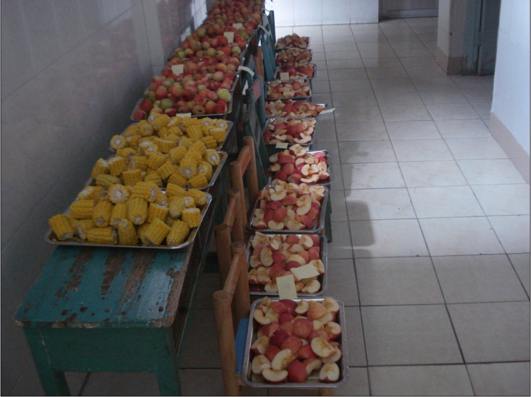 容桂小百合幼儿园