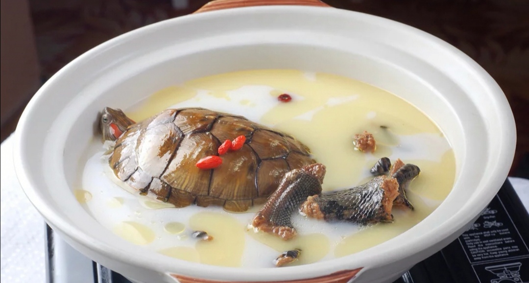  p>龟蛇汤是一道以龟肉,眼镜蛇等为主要食材制作的宁乡创新菜. /p>