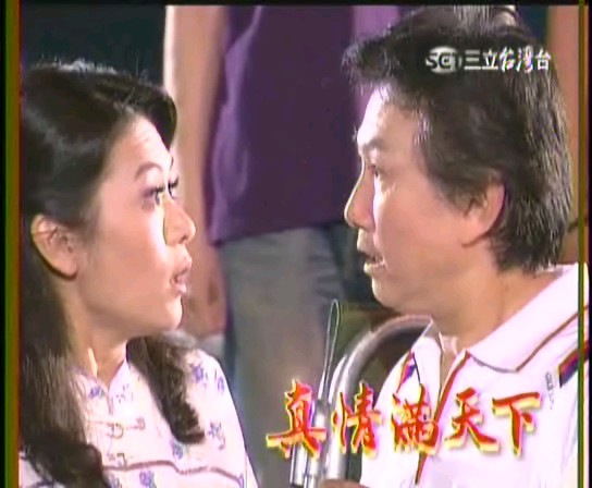 张凤书,周幼婷,王耿豪,李燕,连静雯等人主演的311集的台湾长篇电视剧