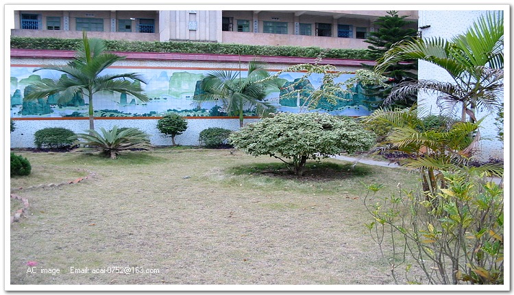 target="_blank" href="/item/罗定">罗定 /a>市苹塘中学,1943年筹办