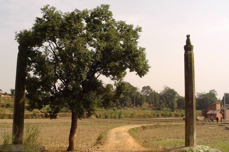  p>宁王朱权墓位于江西省南昌市新建区石埠镇璜源村缑岭东麓,是江西省