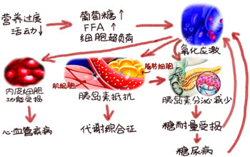 游离脂肪酸